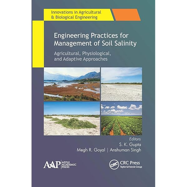 Marine Structures Engineering: Specialized Applications